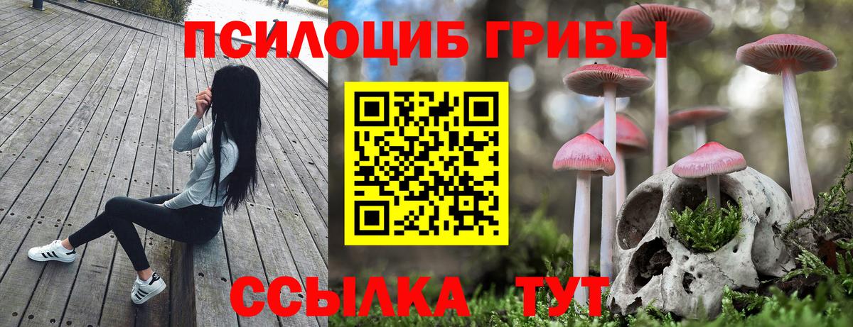 Галлюциногенные грибы Psilocybe Волжский